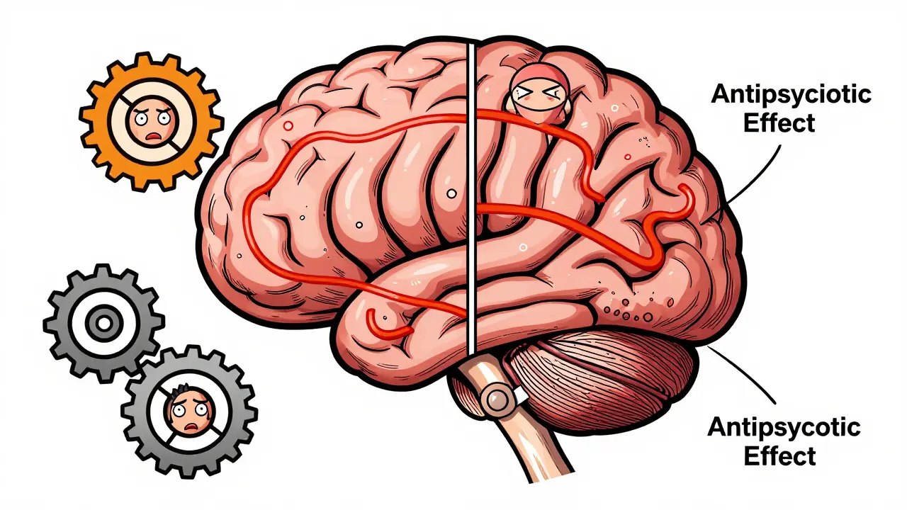 Illustration showing how antipsychotics block dopamine receptors and worsen motor symptoms in the brain.